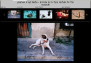 גלריית תצלומי בעלי חיים - צלמת קטיה שורצמן