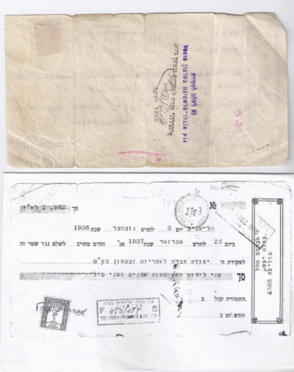 שטר של חברת יהודה משנת 1936 - באדיבות הסוכן אילן ליפנר
