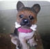 ���� ������ ����� ����� ������ �������