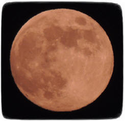 ����� �� ����, ��� ���� ������