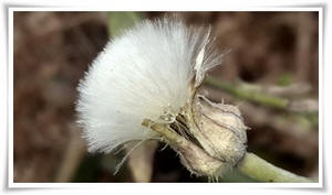 ����� ���������� �� ���