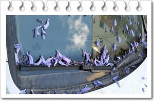 ����� ���������� �� ��� ���� �� ���� ���