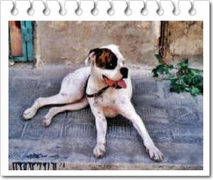 ����� ���������� �� ��� - �� ������� ������ ����� ������