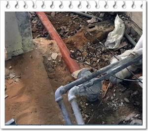 ���� ������� ����� ������