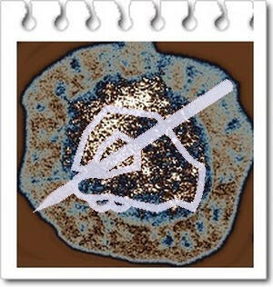 ���� �� ����� �� ����� �� ������