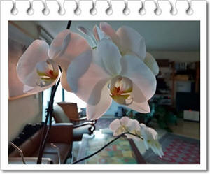 ����� ���������� �� ����