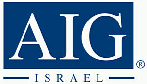 AIG  �����