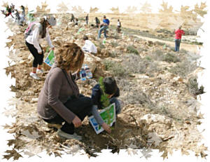 ������ ������ ���� �����