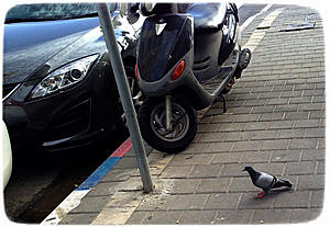 ����� ���������� �� ������ ������