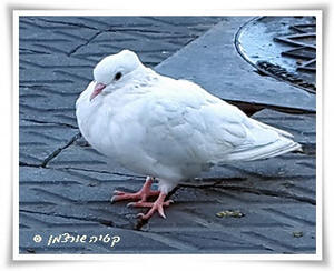 ����� ���������� �� ���� ����