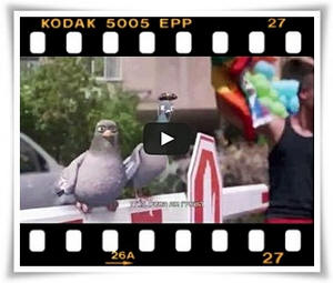 ������ ����� �� ����� ������ ����