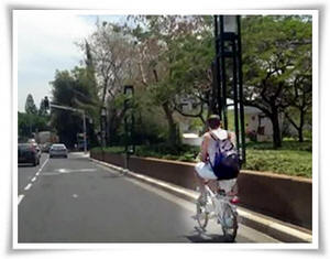 ���� ������� ��"� - ����� ��� ����