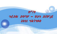 ���� ���"� - ������ 2011