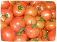 ����� �� ��� ��� �� ��� ����