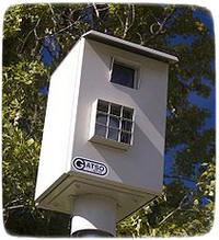 ����� ��� ���� - ����� ������ ������