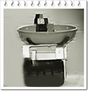 צילו של מאזניים קטיה שורצמן, כל זכויות שמורות