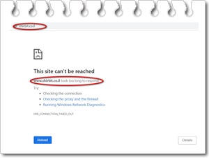 כך נראה אתר האינטרנט של חברת שירביט לאחר אירוע הסייבר