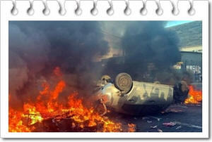 ���� ������ ����