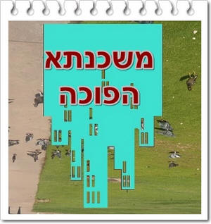 ���� �� ������ �����