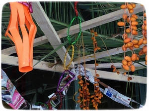 ������ ����