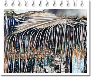 ���� �� ����