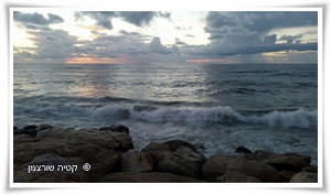 ����� �� �� ����������� �� ������� ������ ����� ������